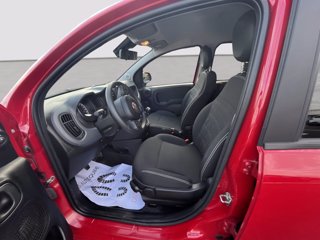 FIAT Panda 1.0 firefly hybrid Cross s&s 70cv 5p.ti