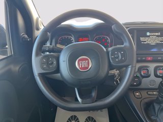 FIAT Panda 1.0 firefly hybrid City Cross s&s 70cv