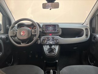 FIAT Panda 1.0 firefly hybrid Cross s&s 70cv 5p.ti