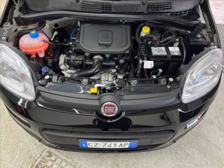 FIAT Panda 1.0 firefly hybrid s&s 70cv 5p.ti