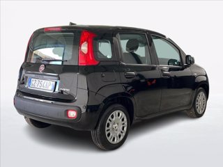 FIAT Panda 1.0 firefly hybrid s&s 70cv 5p.ti