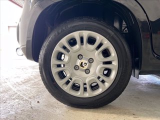 FIAT Panda 1.0 firefly hybrid s&s 70cv 5p.ti