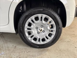 FIAT Panda 1.0 firefly hybrid s&s 70cv 5p.ti