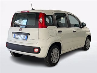 FIAT Pandina 1.0 firefly hybrid s&s 70cv