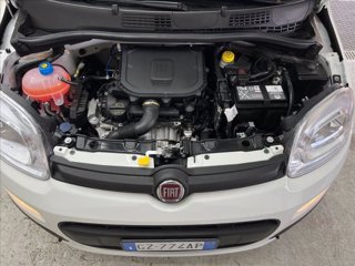FIAT Pandina 1.0 firefly hybrid s&s 70cv