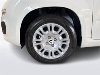 FIAT Pandina 1.0 firefly hybrid s&s 70cv