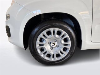 FIAT Pandina 1.0 firefly hybrid s&s 70cv