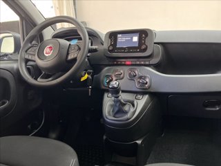 FIAT Pandina 1.0 firefly hybrid s&s 70cv