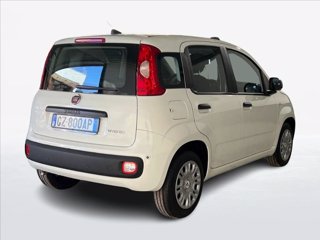 FIAT Pandina 1.0 firefly hybrid s&s 70cv