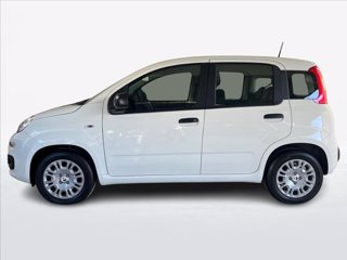 FIAT Pandina 1.0 firefly hybrid s&s 70cv 5p.ti